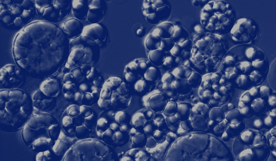 Get to Know Ritual's Sustainable Packaging