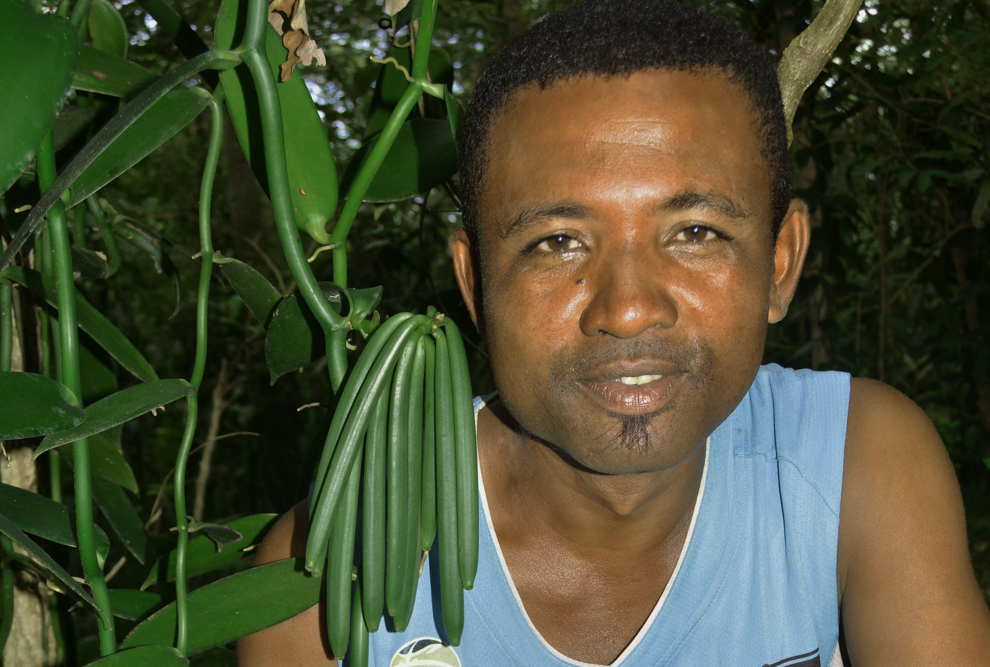 Ratovojaona Benjamin, one of Ritual's vanilla farmers.