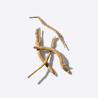 Ingredients-Ashwagandha