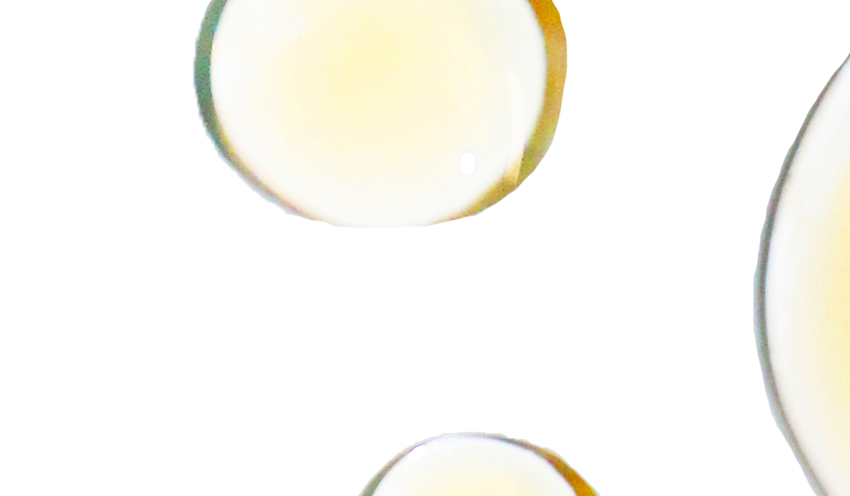 Our Rigorous Third Party Testing, Quality and Transparency Standards