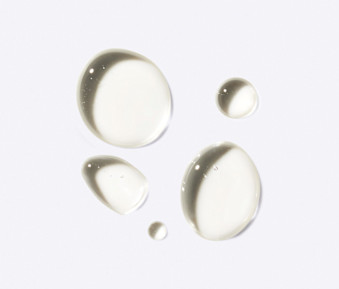 Choline Chloride Ingredient