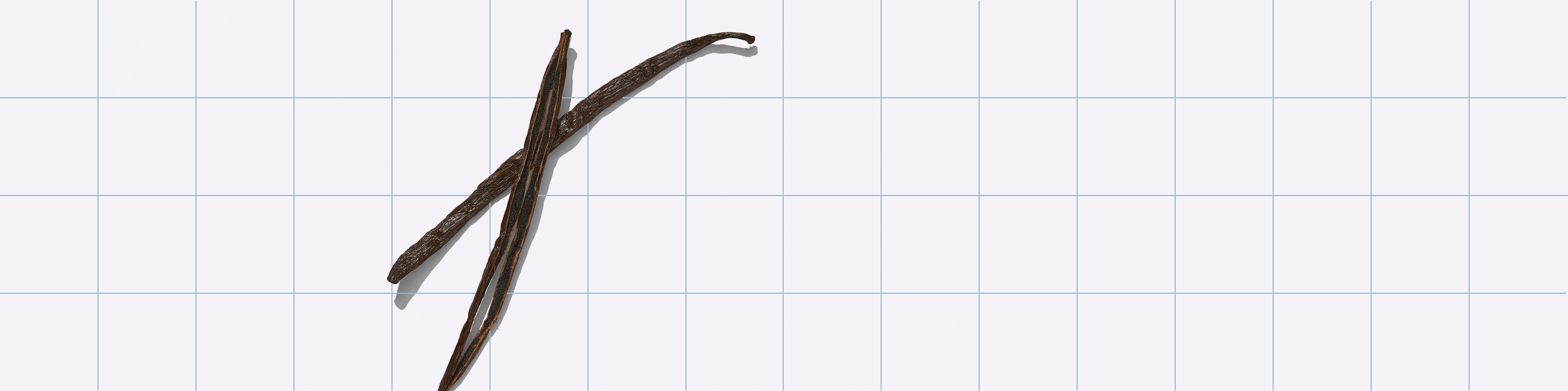 Essential Protein is infused with sustainably-harvested vanilla extract straight from Madagascar. We spoke with one of our vanilla farmers to get an inside look at how the vanilla bean in our protein supplement is grown and sourced.