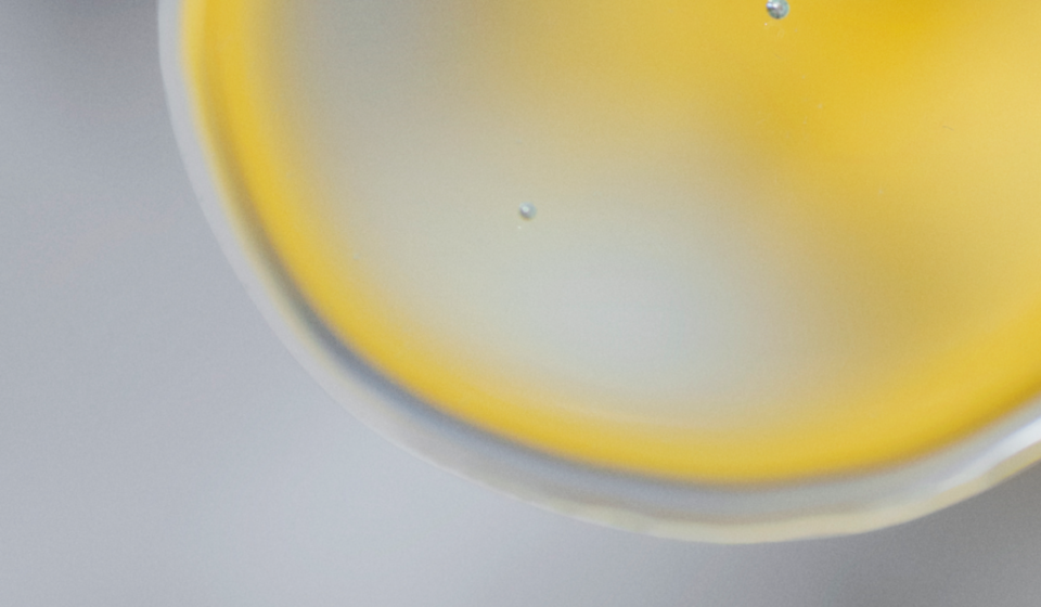 Signs Probiotics Are Working